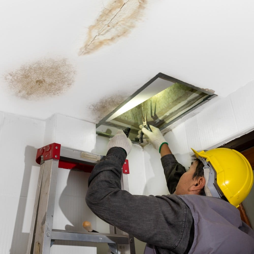ceiling repair