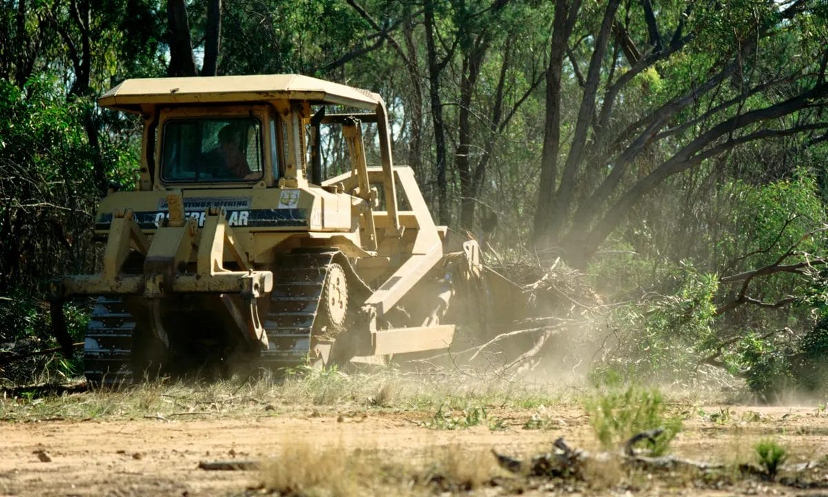 Keystone Industries Vegetation Clearing