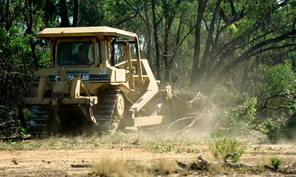 Keystone Industries Vegetation Clearing