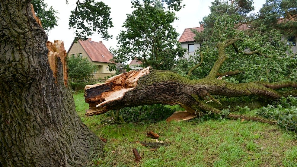 Storm Damage Clean up
