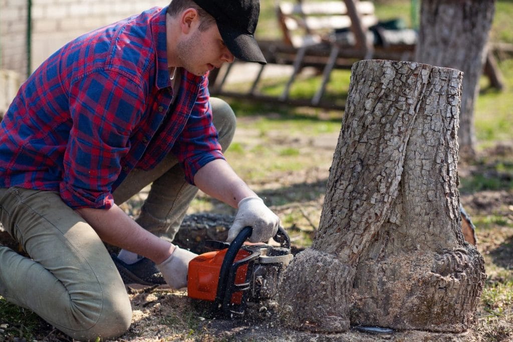 Stump Remova