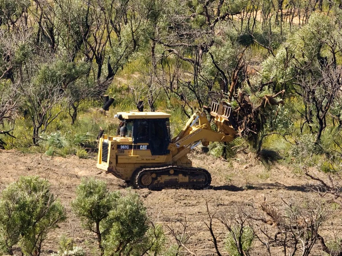 Vegetation land Clearing