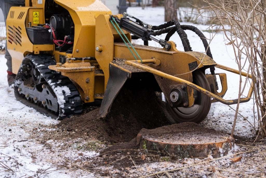 stump grinding