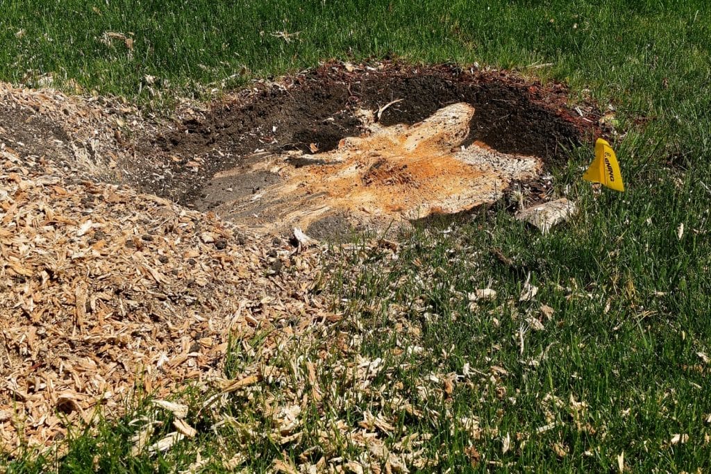stump grinding